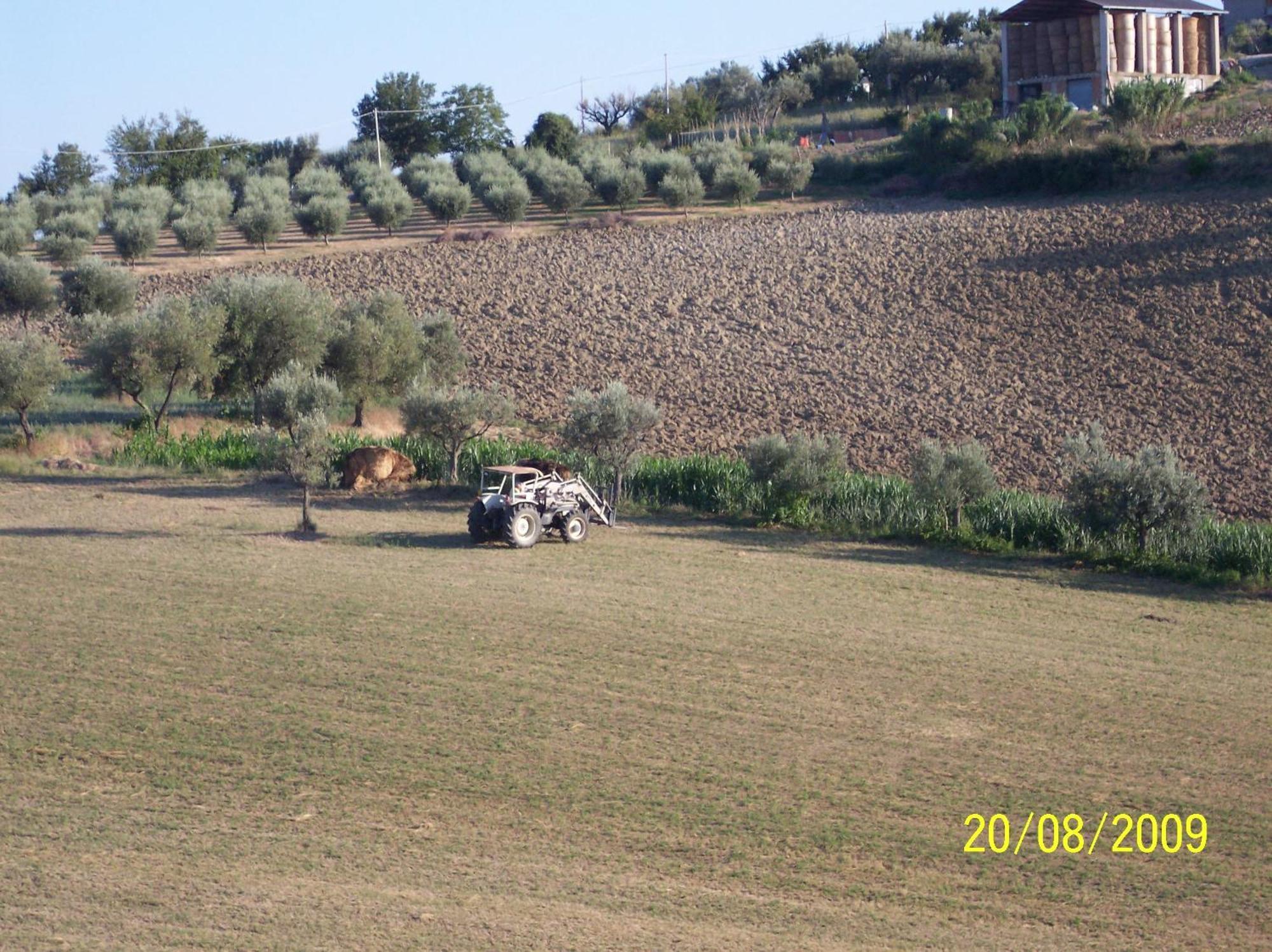 Agriturismo Il Vecchio Carro Campli Exterior photo